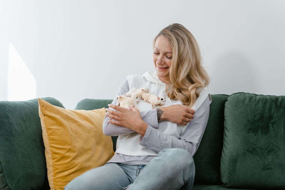 How to Bond With a Sugar Glider: Easy Guide